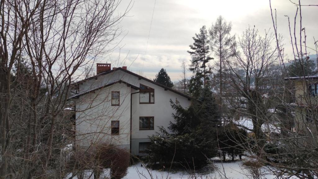 a white house in the snow with trees at Alfa 2 apartament 4 in Bystra