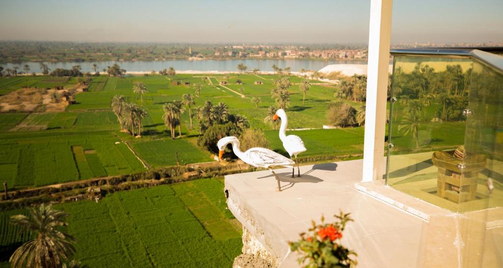 two birds standing on the ledge of a building at Holy Family Hotel in Jabal aţ Ţayr