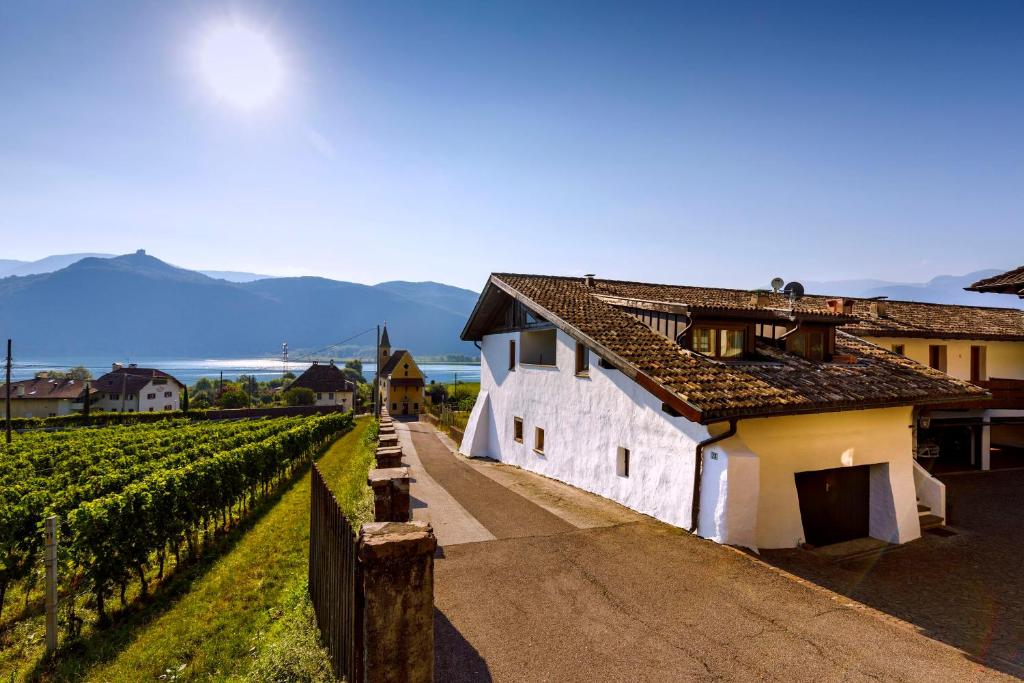 un edificio blanco junto a un viñedo con montañas en el fondo en Apartments Seewinkel en Caldaro