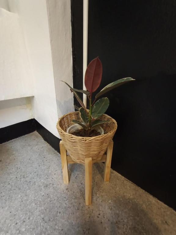 FrenTé Chiang Mai - Resim 21