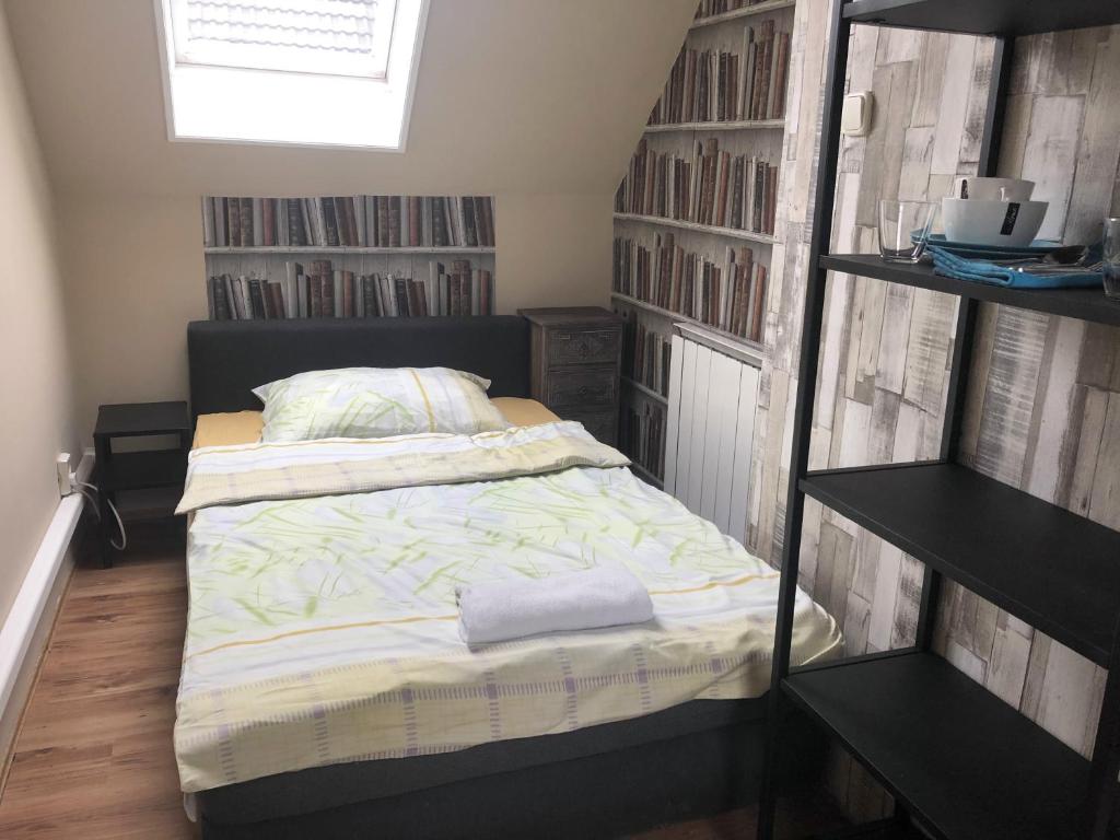 Petra Vendégház - Habitación Gemela Estándar