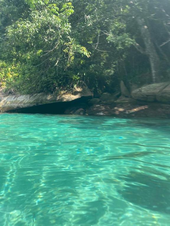  Pousada Vista para Mata