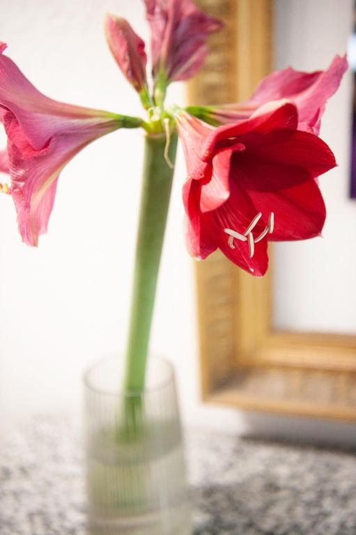 Fotografie z fotogalerie ubytování Room's chez BeNi v destinaci Grächen