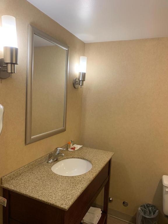 Ramada by Wyndham Niagara Falls/Fallsview - Resim 10