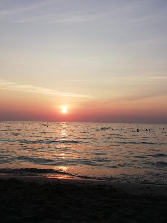 Príroda v okolí apartmánu