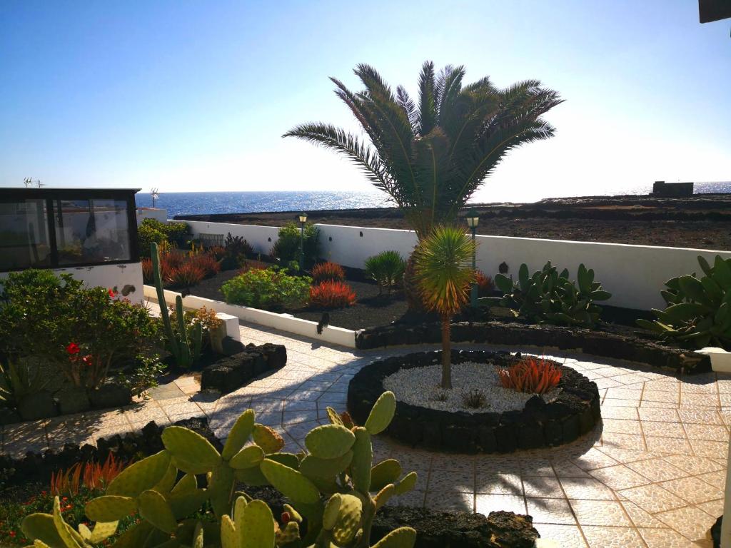a garden with a palm tree in the middle at Blu Oceano in Teguise