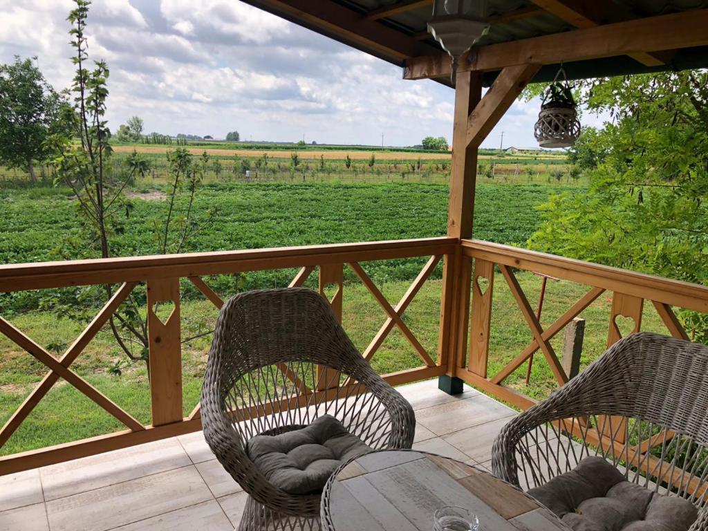 two chairs on a porch with a view of a field at Salaš Gnijezdo in Bačka Palanka