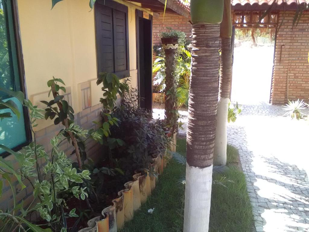  Casa do tubarão