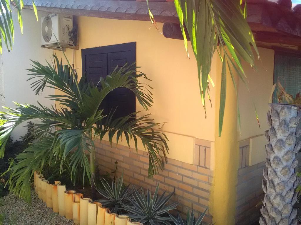  Casa do tubarão