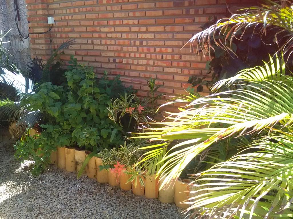  Casa do tubarão