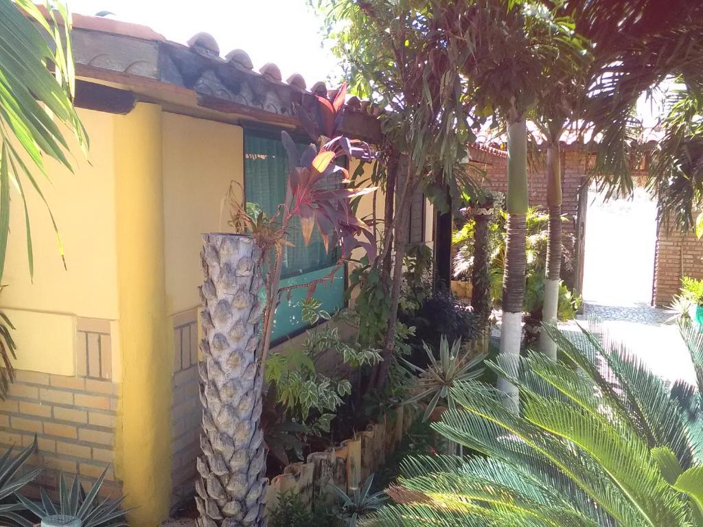  Casa do tubarão