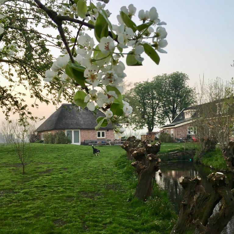 Groeten uit Hoogmade - rural cottage - Holiday Home