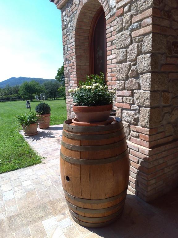 Nespecifikovaný výhled na hory nebo výhled na hory při pohledu z bed and breakfast