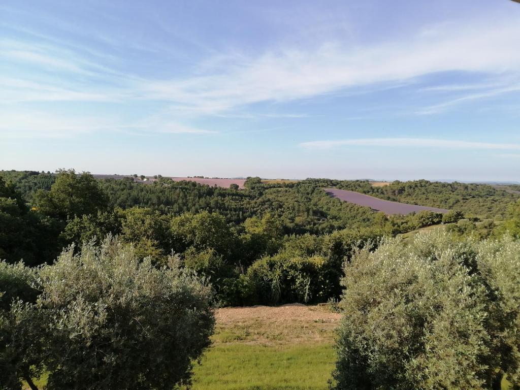Gîtes Lou Limbert Plateau de Valensole - Casa De Un Dormitorio
