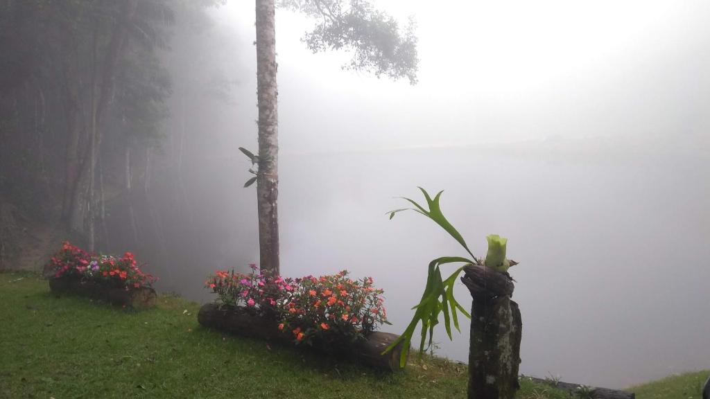  Chalé c/ lareira mata e lago região de Pedra Azul