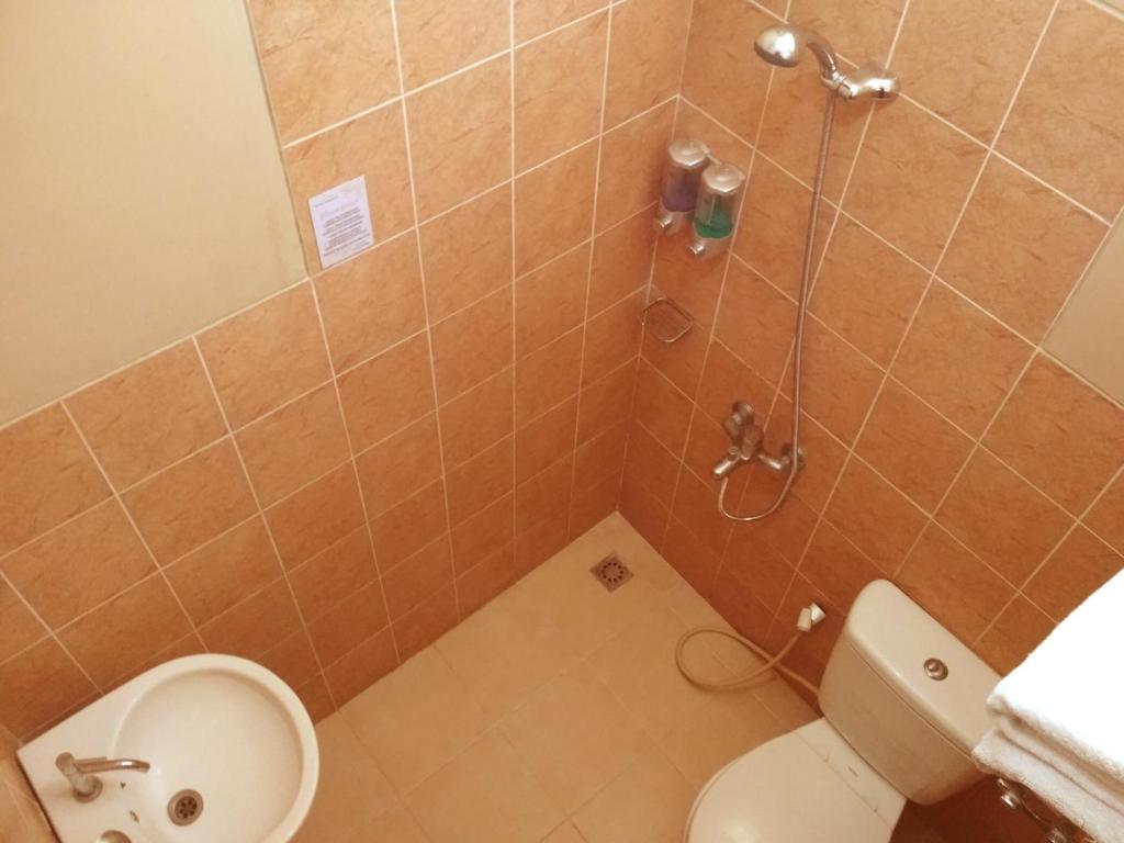 a small bathroom with a toilet and a shower at wisma sejahtera hotel in Magelang