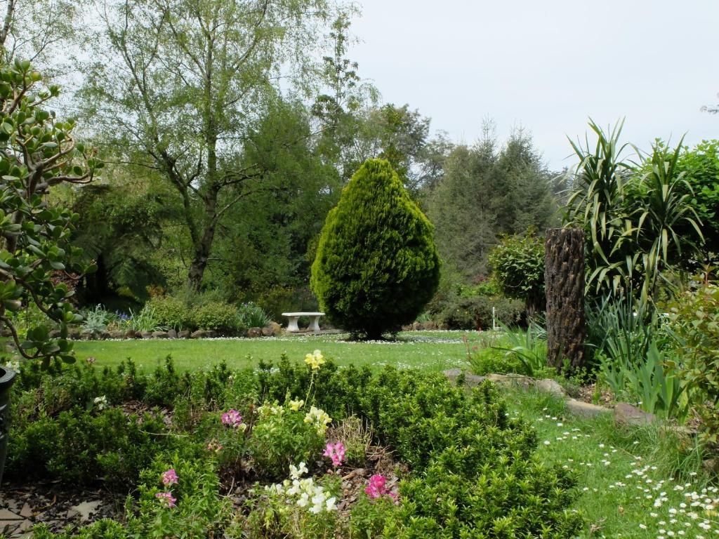 a garden with a large bush in the background at Braeside Bliss in Sherbrooke