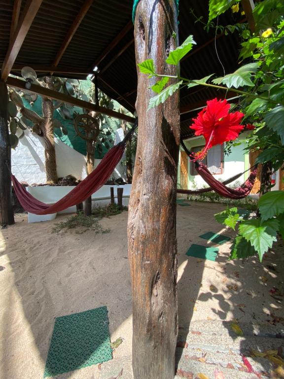 Zahrada ubytování Hostal Casa Edén