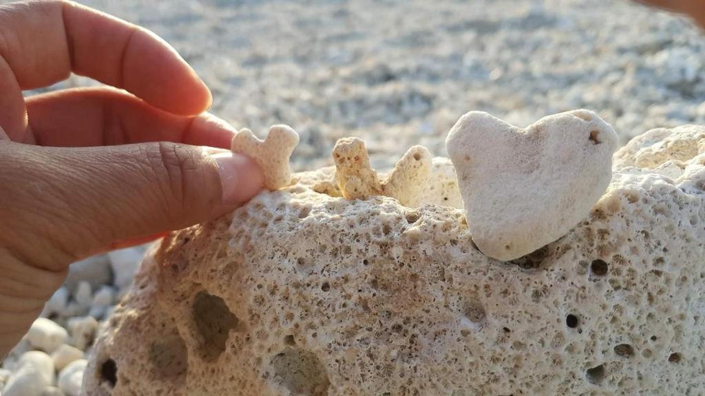 Gambar di galeri bagi whitiedoggie Villa di Eluan