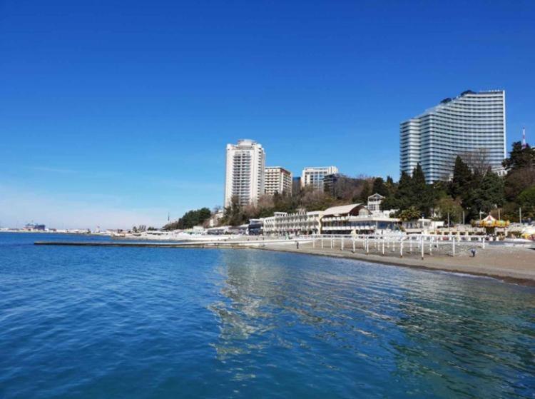 a view of a beach with a city in the background at Hotel Romanov in Sochi