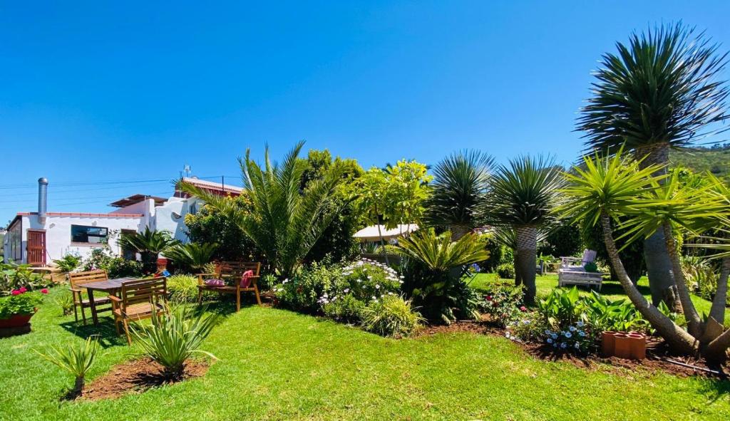 a garden with palm trees and plants on a lawn at CASA DIEGO in Tegueste