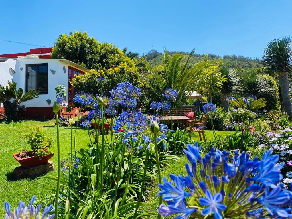 TeguesteにあるCASA DEL MIRの青い花の家の前の庭