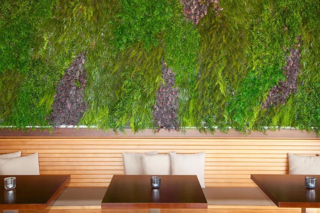 Vonkajšia záhrada v ubytovaní Hotel Tarik
