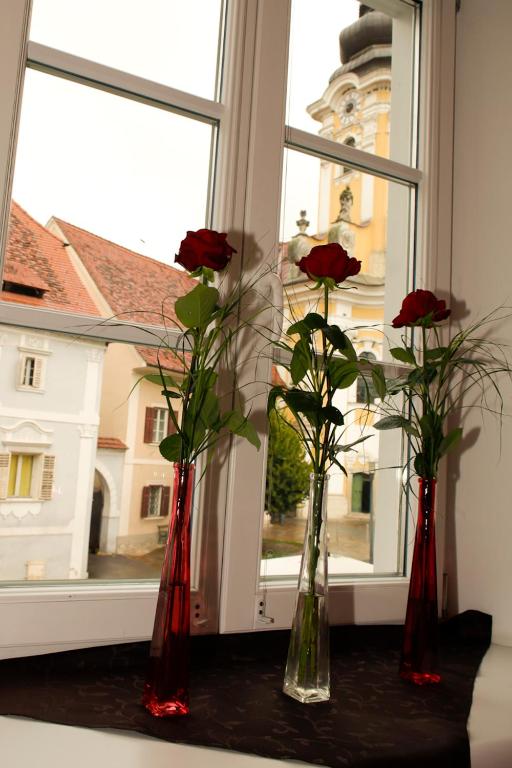 Fotografie z fotogalerie ubytování Raiffeisenhof Appartements v destinaci Ehrenhausen