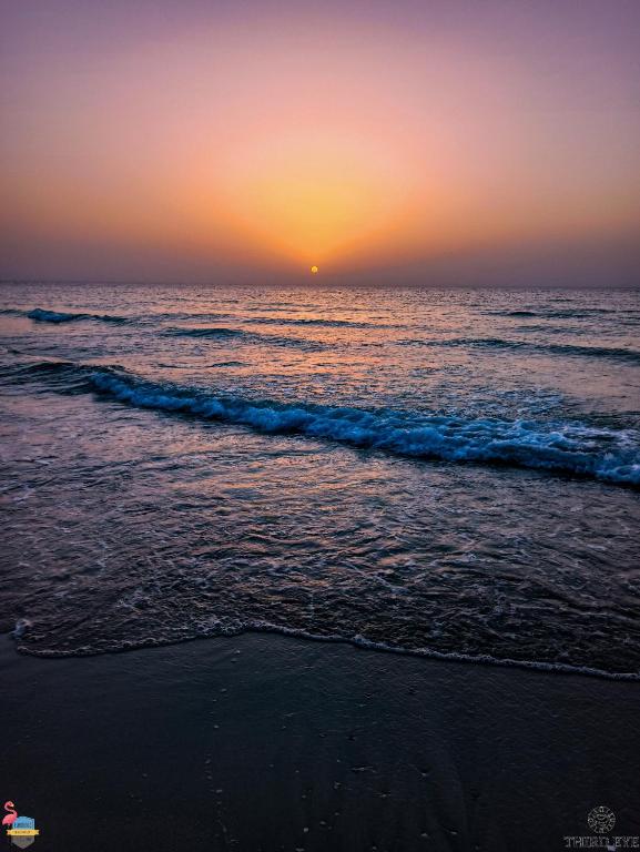 a sunset on the beach with the ocean at Flamingo Beach Hotel in Umm Al Quwain
