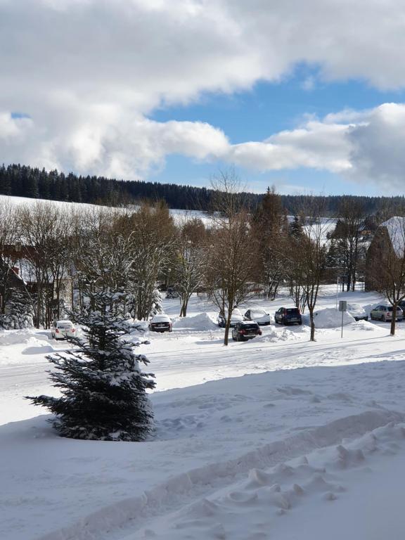 Family apartmán Kovářská v zimě