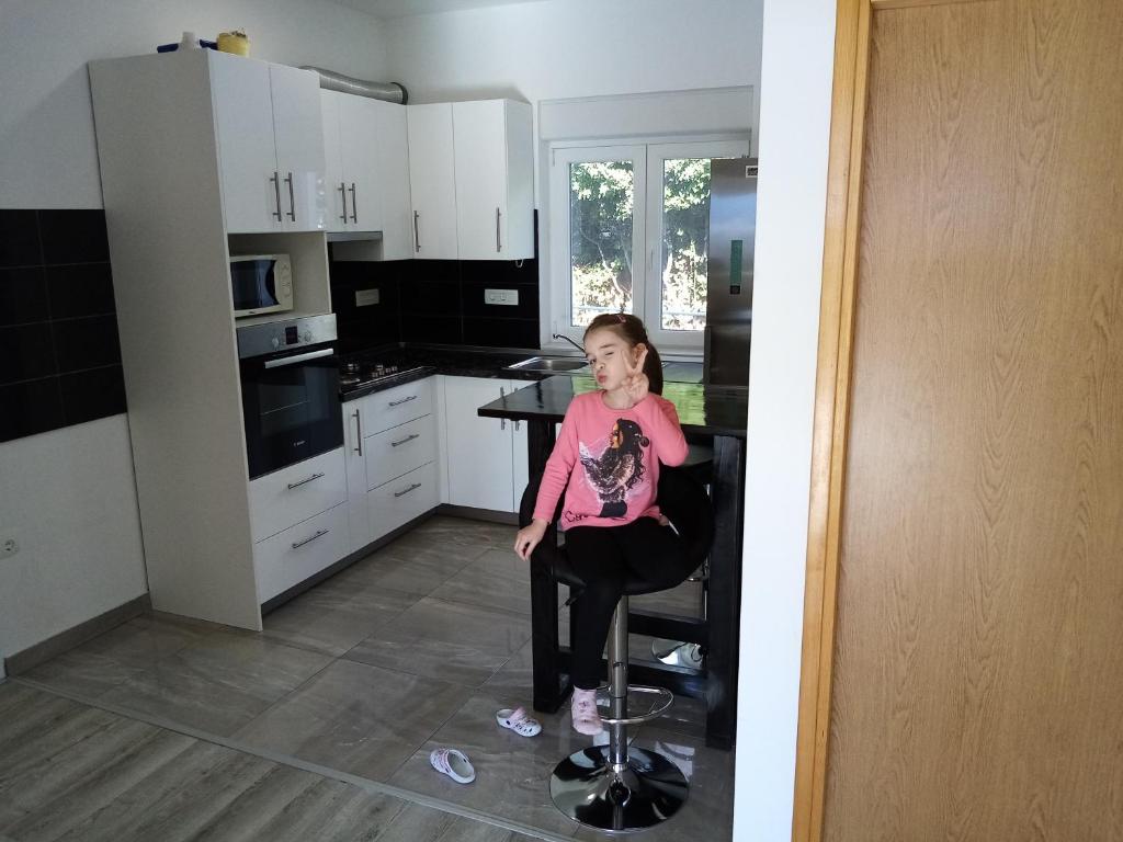 Kuchyň nebo kuchyňský kout v ubytování Apartment Nino