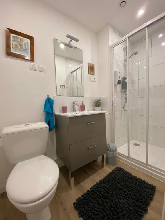 L'Ours de Colmar - Appartements en centre ville – photo 26