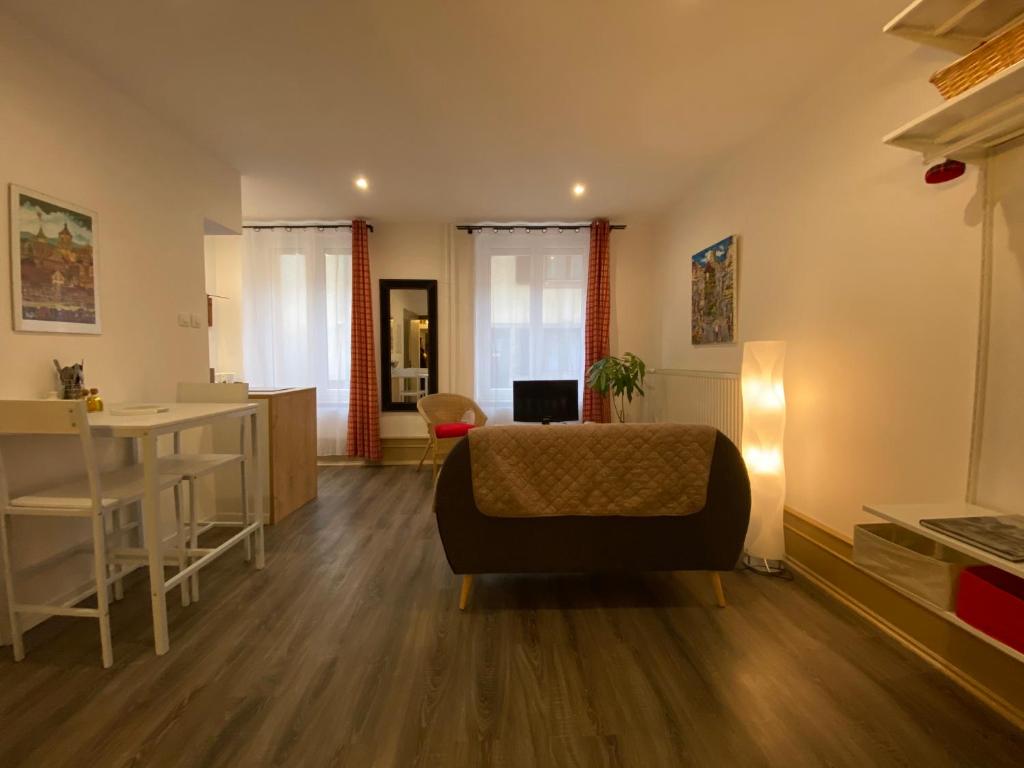 L'Ours de Colmar - Appartements en centre ville – photo 25