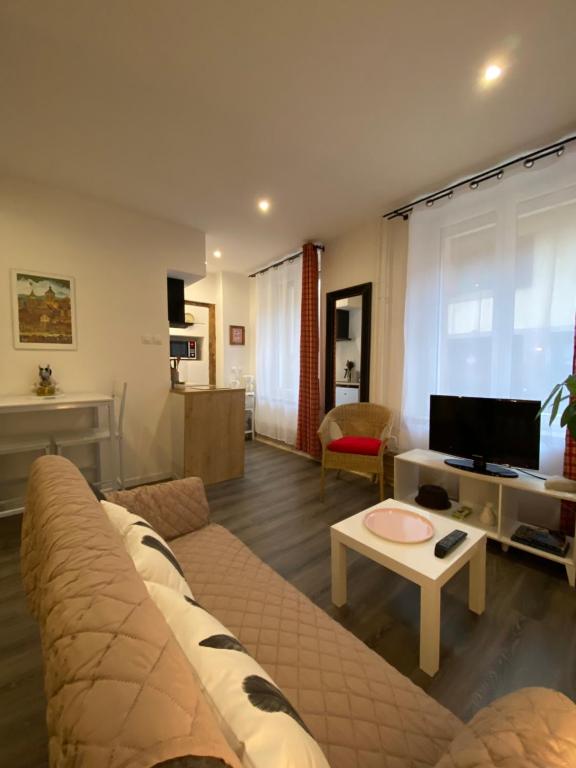 L'Ours de Colmar - Appartements en centre ville – photo 24