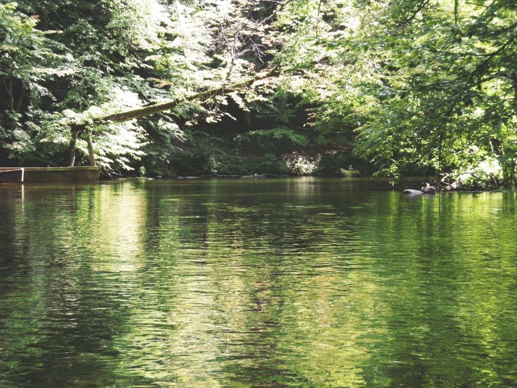 Příroda nedaleko penzionu – hostince