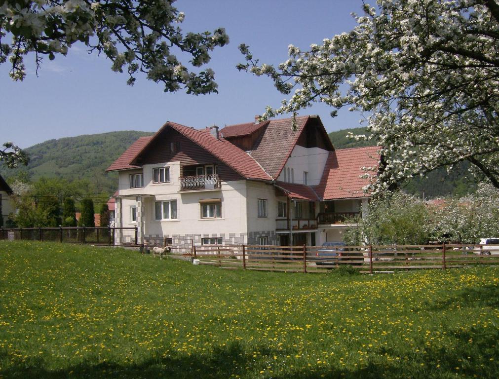 a white house with a red roof on a green field at Pensiunea Luminita in Bran