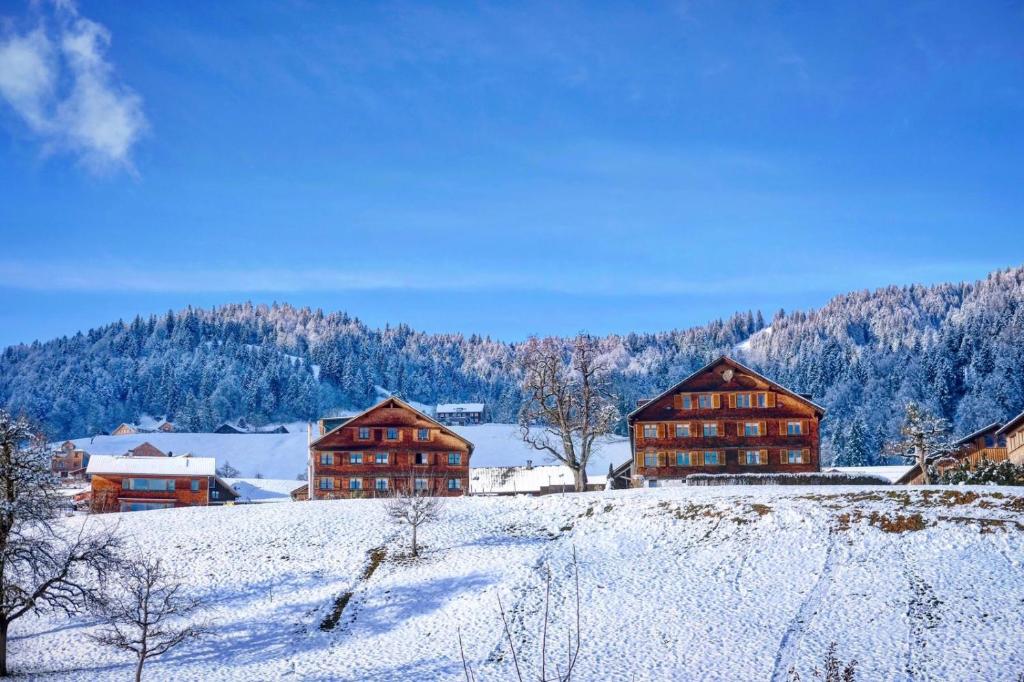 Příroda nedaleko apartmánu
