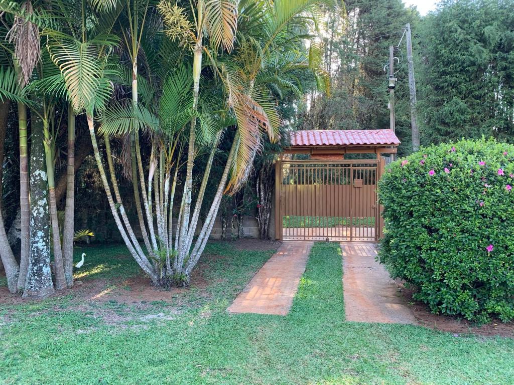  Cantinho da paz
