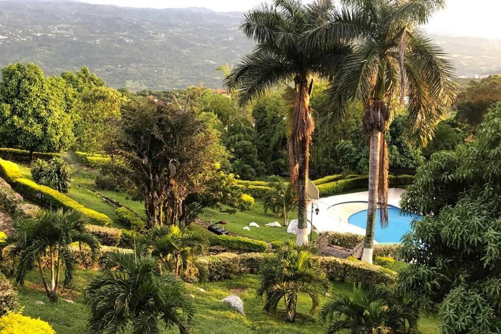 een zwembad in een tuin met palmbomen bij Casa con piscina y zona de BBQ en la Mesa Cundinamarca in Anapoima
