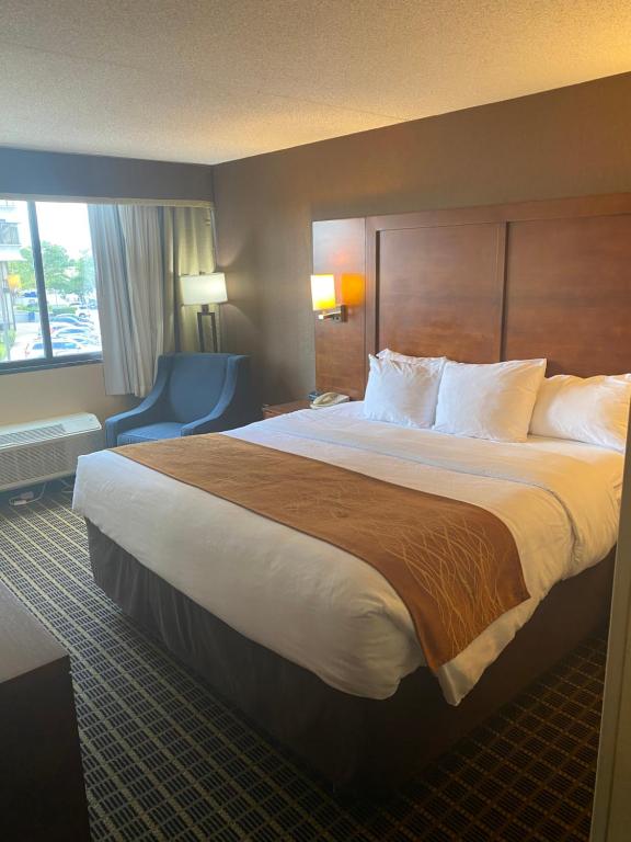 Comfort Inn - King Room - Non-Smoking
