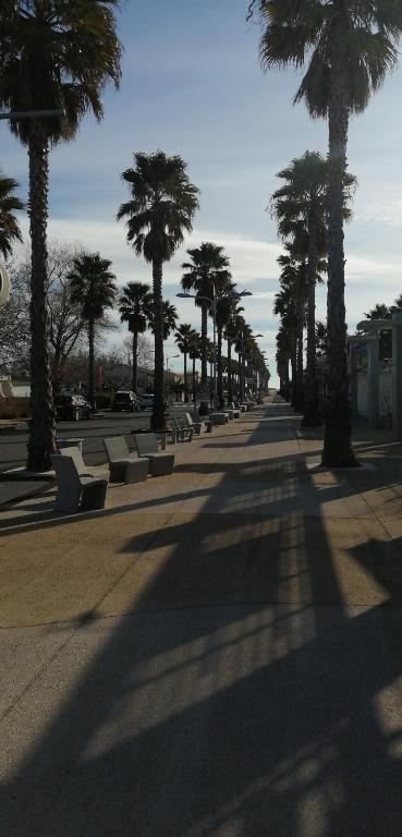 un parc avec des palmiers et des bancs sur un trottoir dans l'établissement Le Bora-Bora, à Marseillan