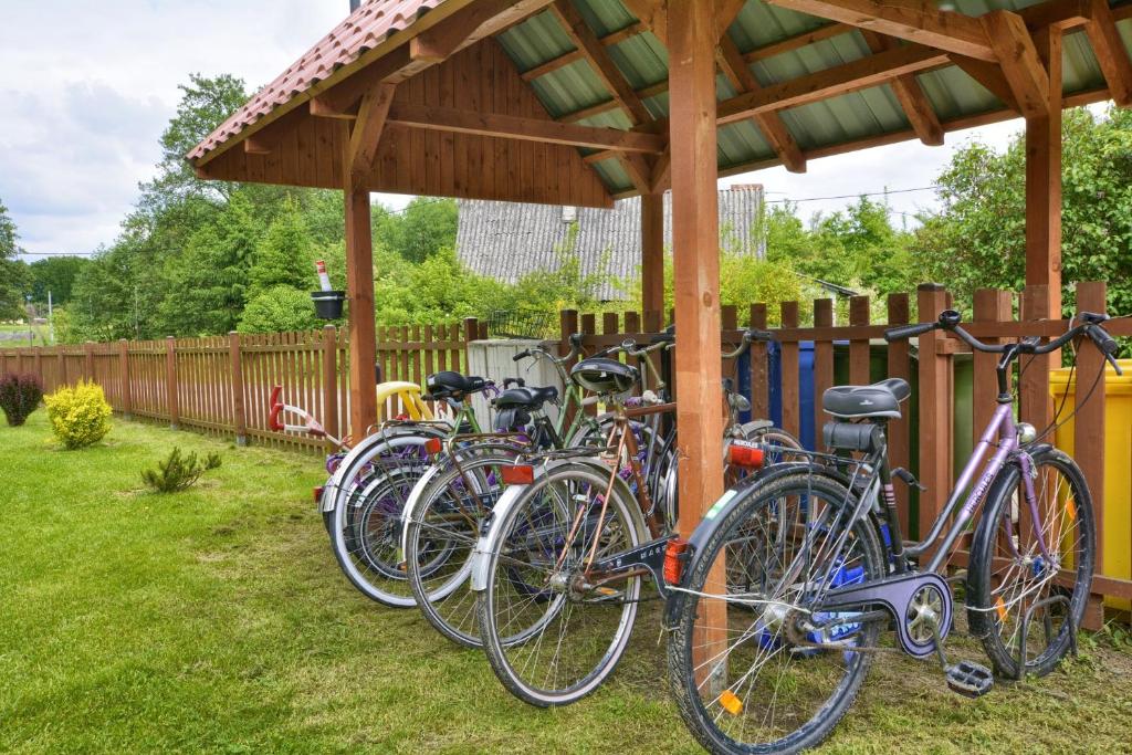 Jazda na bicykli v okolí ubytovania Dworek Polanica