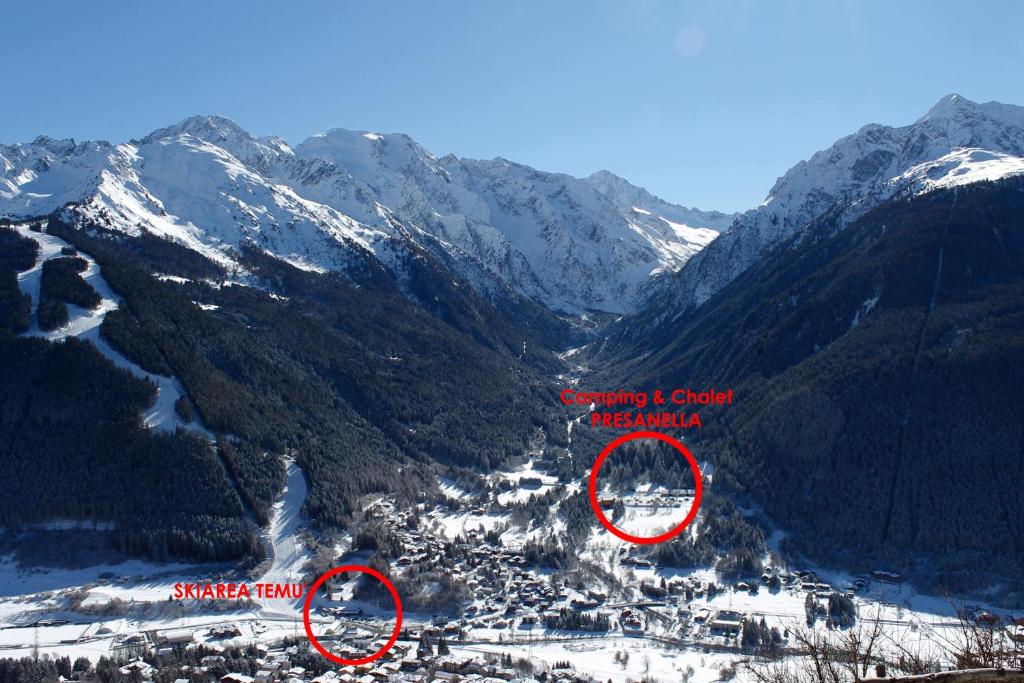 a mountain valley with snow covered mountains at Chalet Presanella in Temù