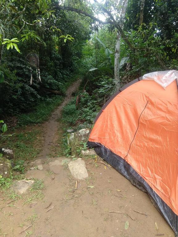  Camping vida longa