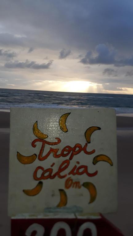  Tropicalia om host Bahia