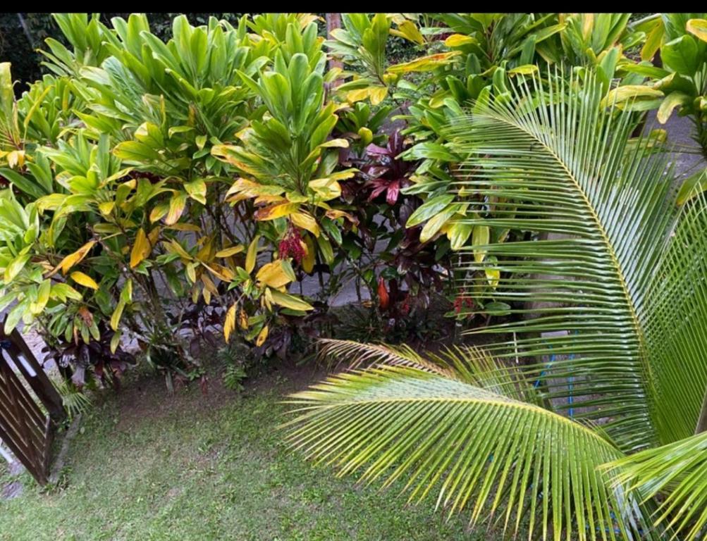  Recanto Doce Paraty