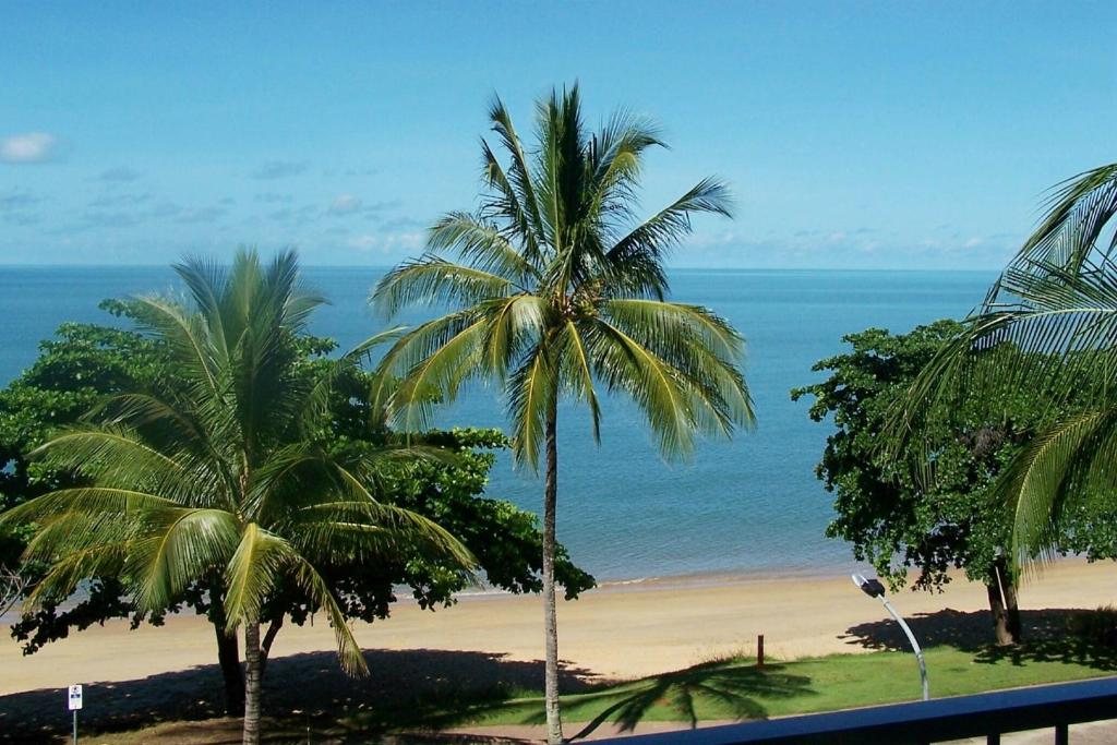 uma vista para uma praia com palmeiras e para o oceano em Beachfront Apartments on Trinity Beach em Trinity Beach