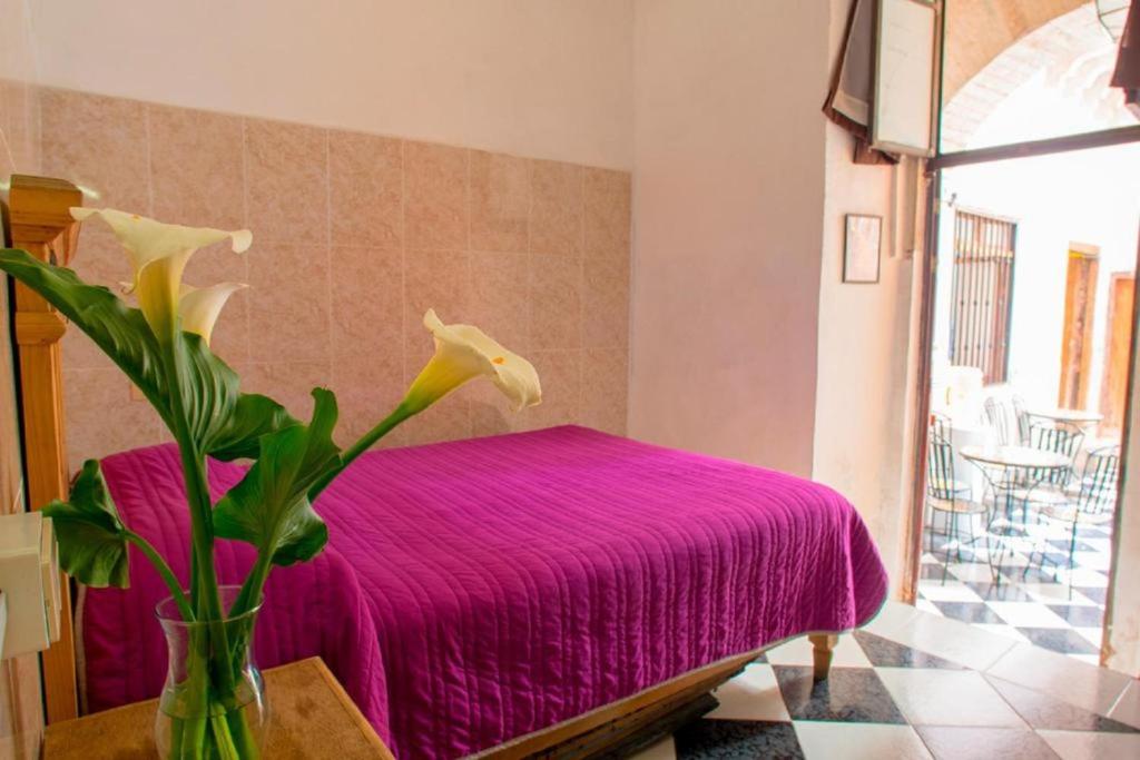 Casa Lupita Hostel - Tweepersoonskamer