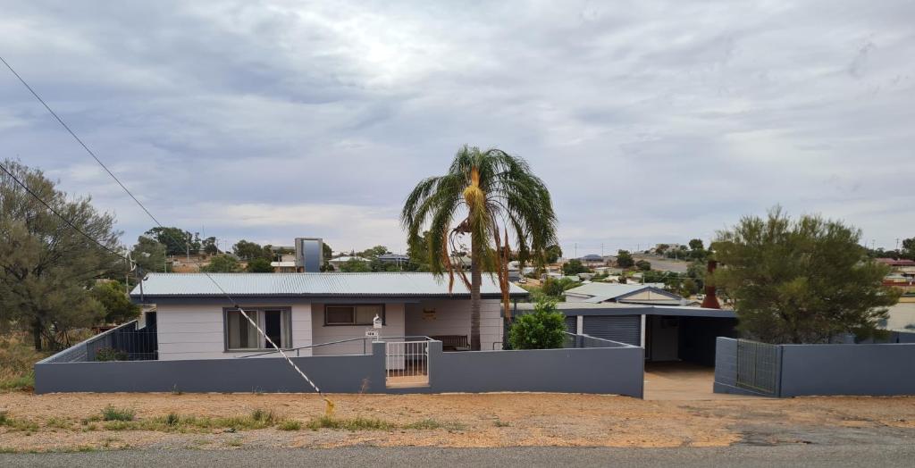 
a large building with a palm tree in front of it at Manuka Cottage in Broken Hill
