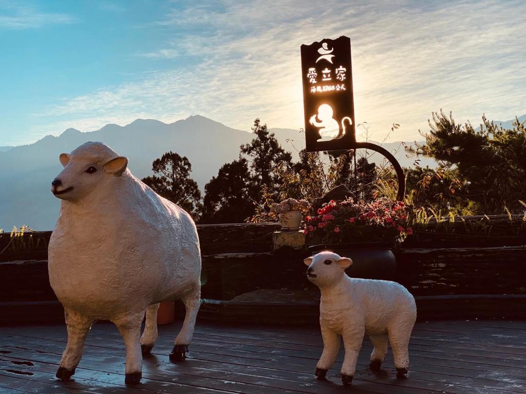 a couple of sheep standing next to a baby lamb at Ailiga Travel Villa in Ren&#39;ai